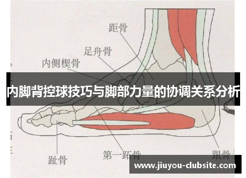 内脚背控球技巧与脚部力量的协调关系分析